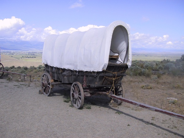 wagon