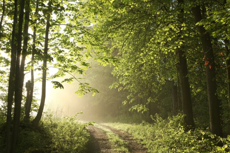 #110: How to Get Back On Track [Podcast]