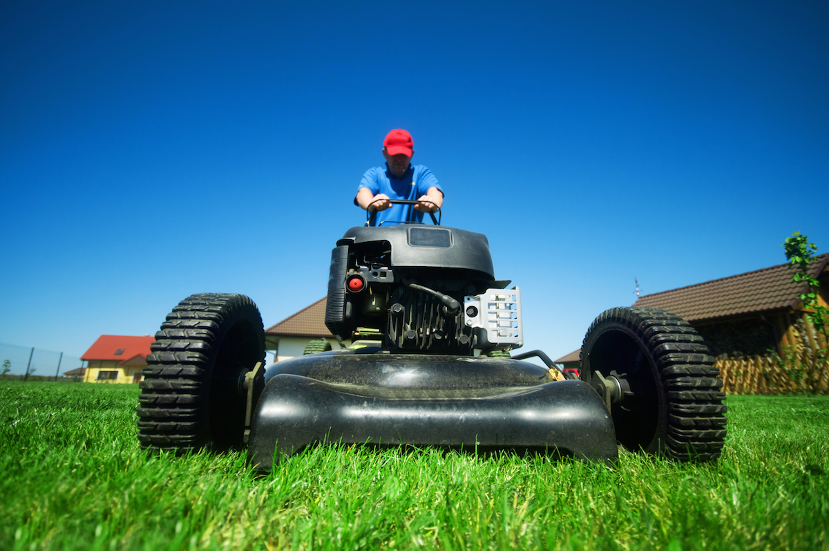 Mowing the lawn