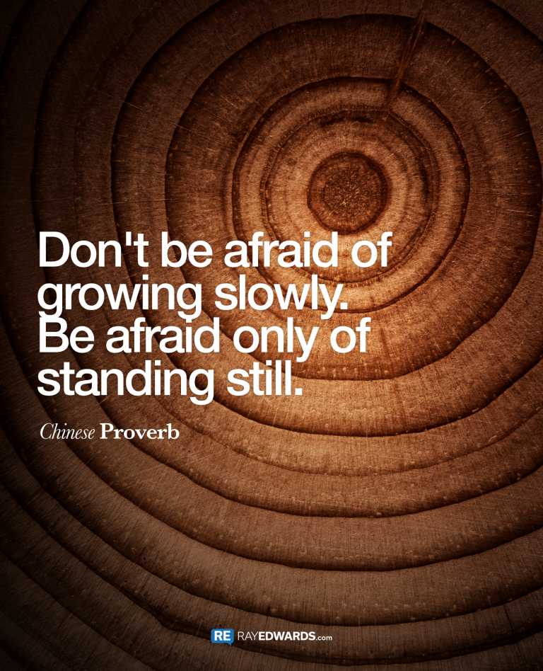 Don’t Be Afraid of Growing Slowly. Be Afraid Only of Standing Still.