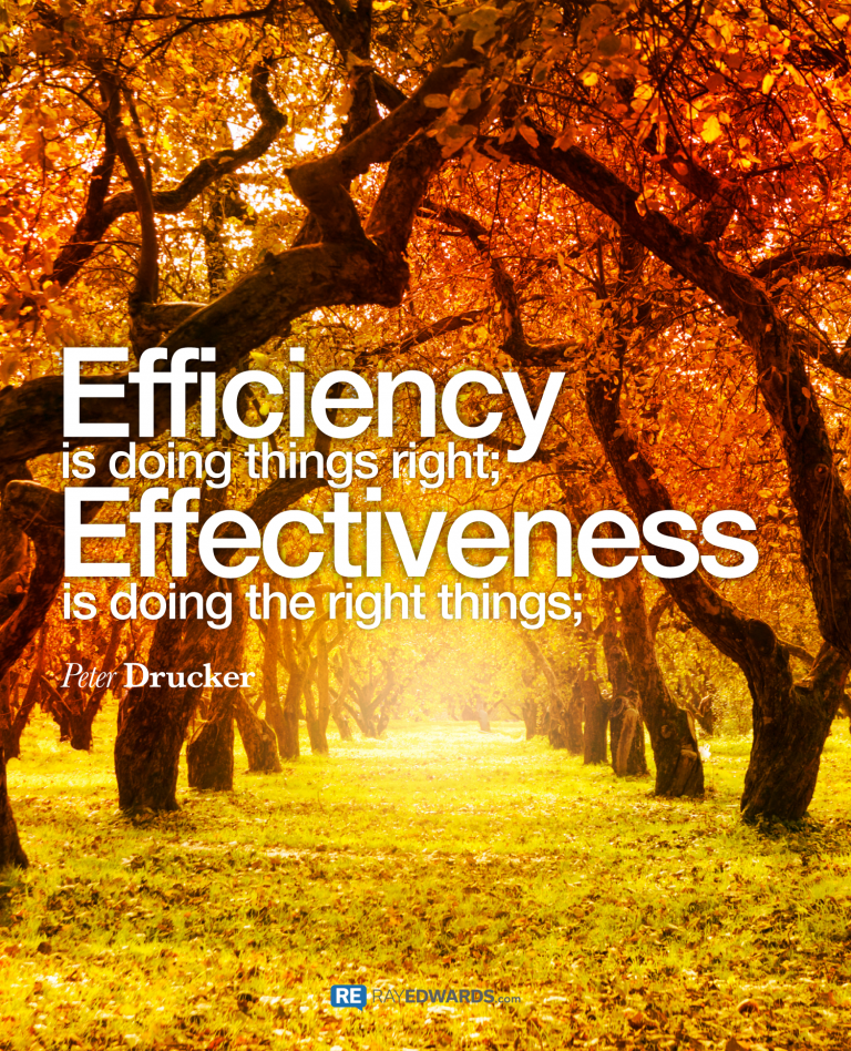 Efficiency Is Doing Things Right; Effectiveness Is Doing the Right Things