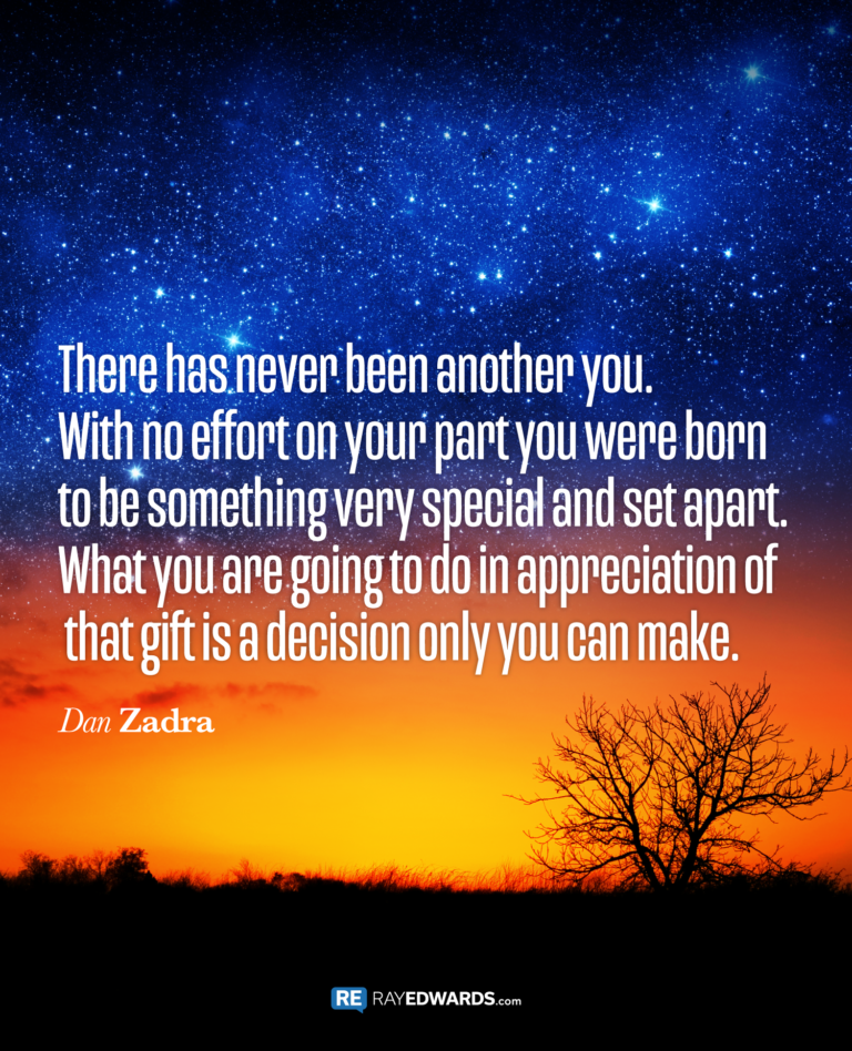 There Has Never Been Another You…-Dan Zadra